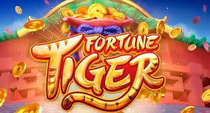 fortune coins